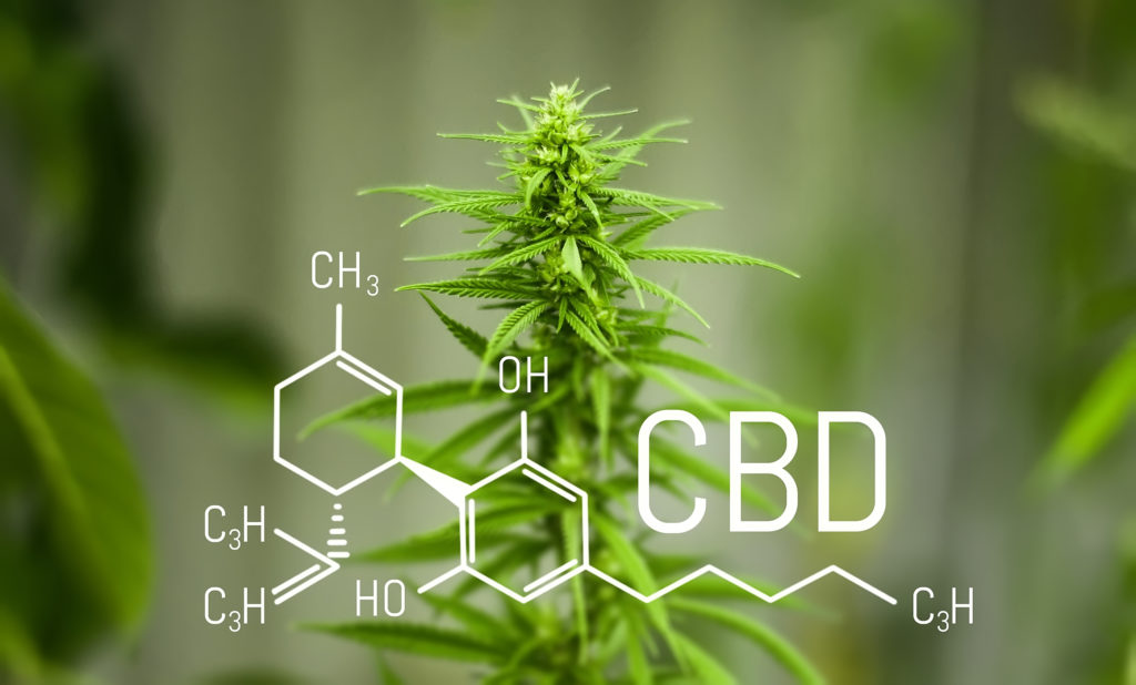 Balance CBD