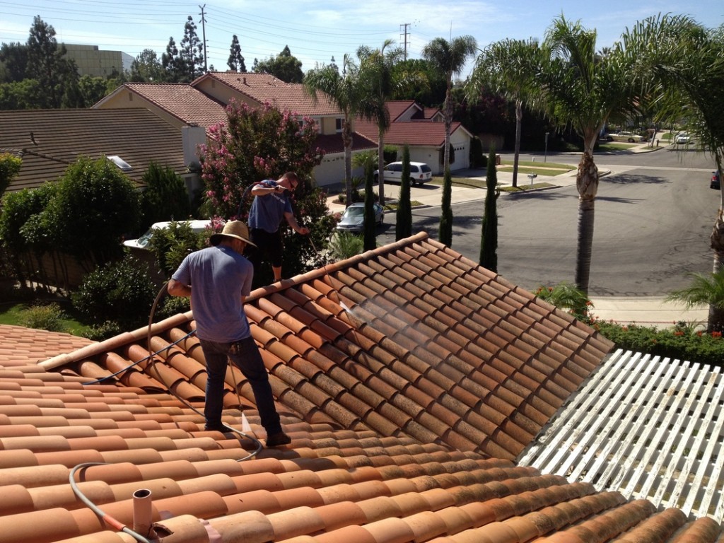 Roof Cleaning 